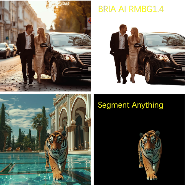 BRIA AI RMBG 1.4 vs Segment Anything | Background Removal