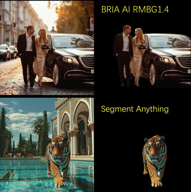 BRIA AI RMBG 1.4 vs Segment Anything | Suppression de l'arrière-plan
