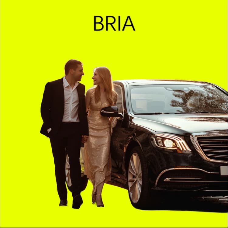 background-removal-bria-ai-rmbg1.4-vs-segment-anything-1037-example_2.webp