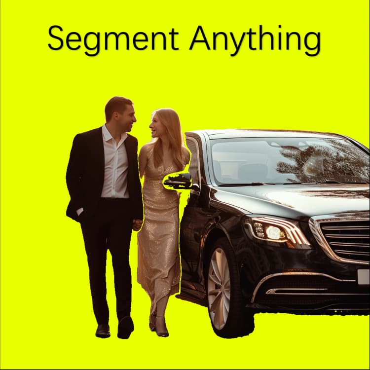 background-removal-bria-ai-rmbg1.4-vs-segment-anything-1037-example_3.webp