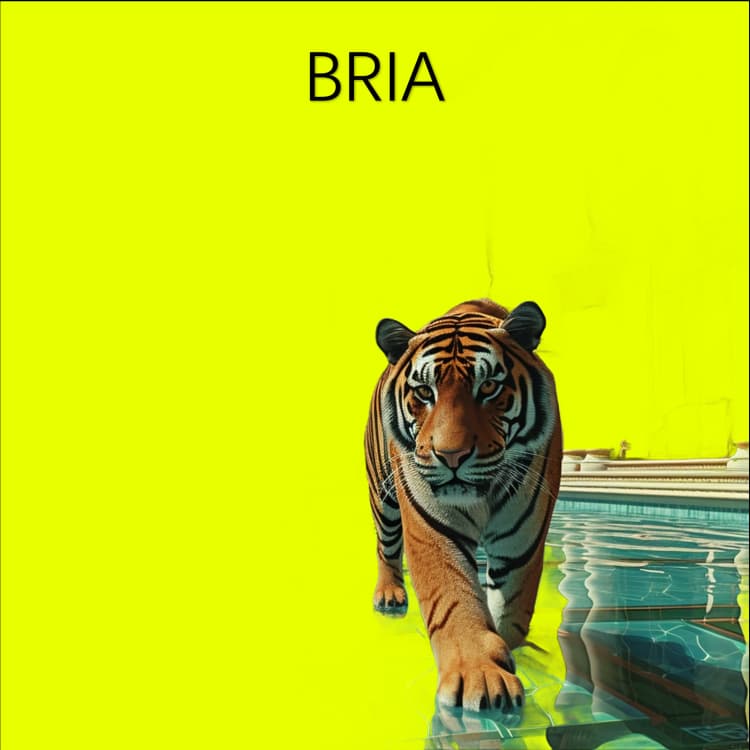 background-removal-bria-ai-rmbg1.4-vs-segment-anything-1037-example_5.webp