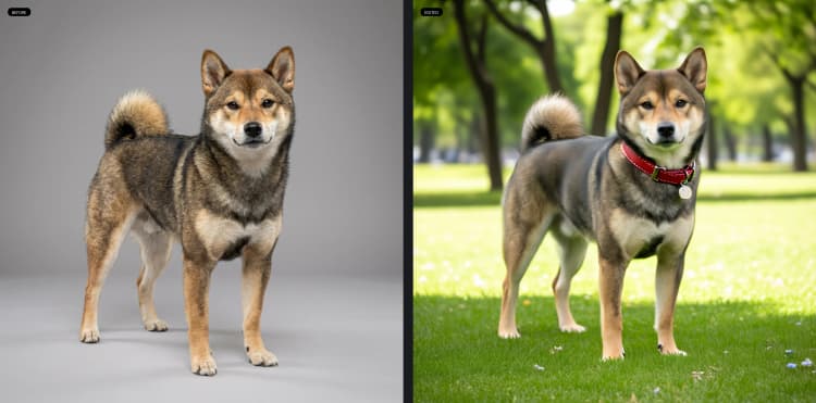 capybara-comfyui-workflow-v0-1-4-in-1-image-and-video-generator-1368-example_04.webp