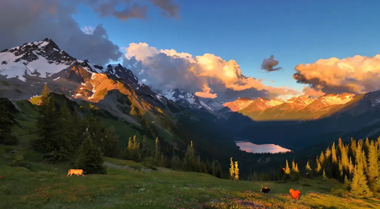 nvidia-cosmos-text-or-image-to-video-workflow-in-comfyUI-video-generation-1184-example_3.webp